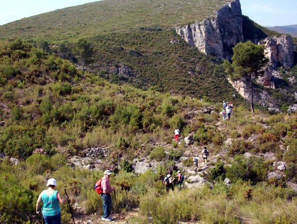 Pulsar para ver la imagen original